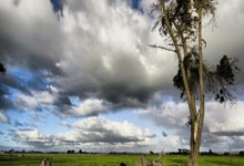 巴西传奇后卫闪耀赛场，回顾辉煌