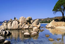 德甲球队正在考虑引进意大利中场